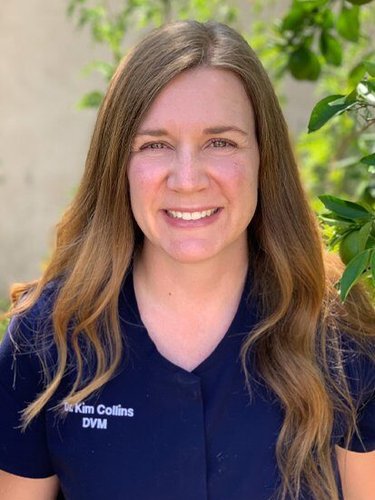 Dr. Kim Collins